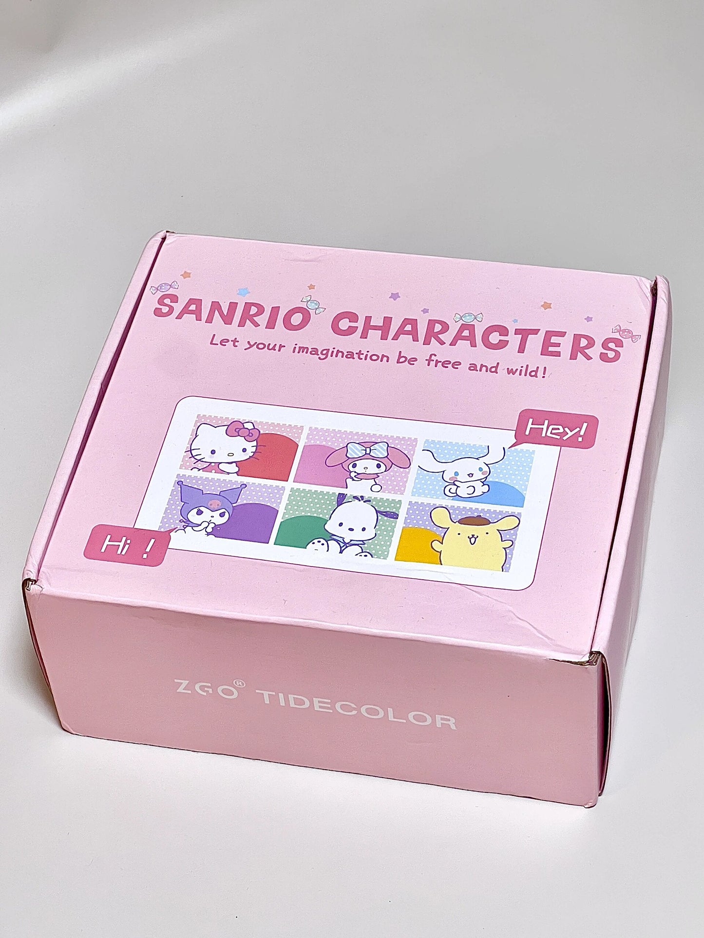 Sanrio Designer Purse