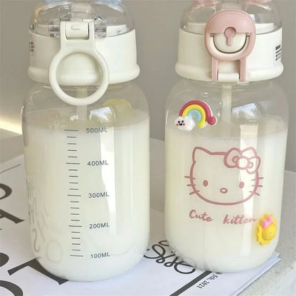 Sanrio Water Bottle